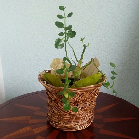 Boho Wicker Flower Planter Basket Pot Cont… - Picture 7 of 7